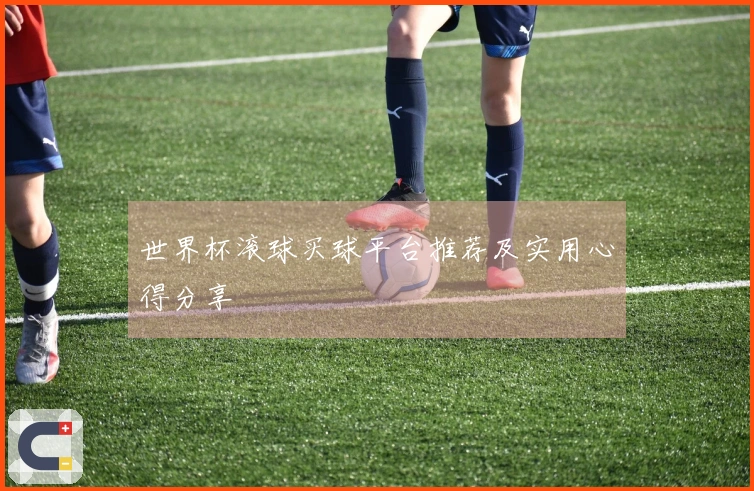 世界杯滚球买球平台推荐及实用心得分享