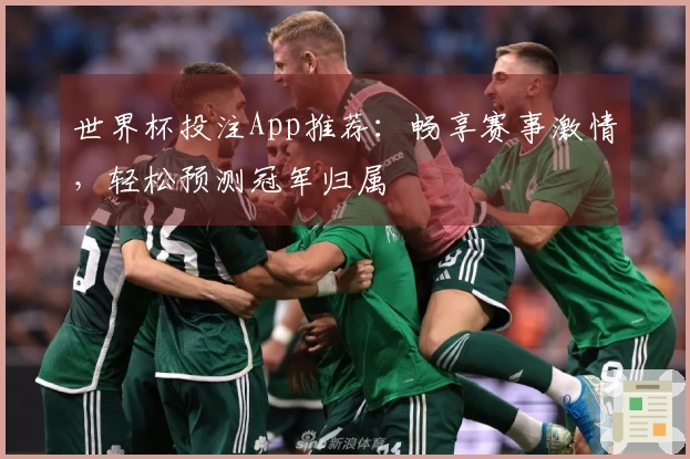 世界杯投注App推荐：畅享赛事激情，轻松预测冠军归属