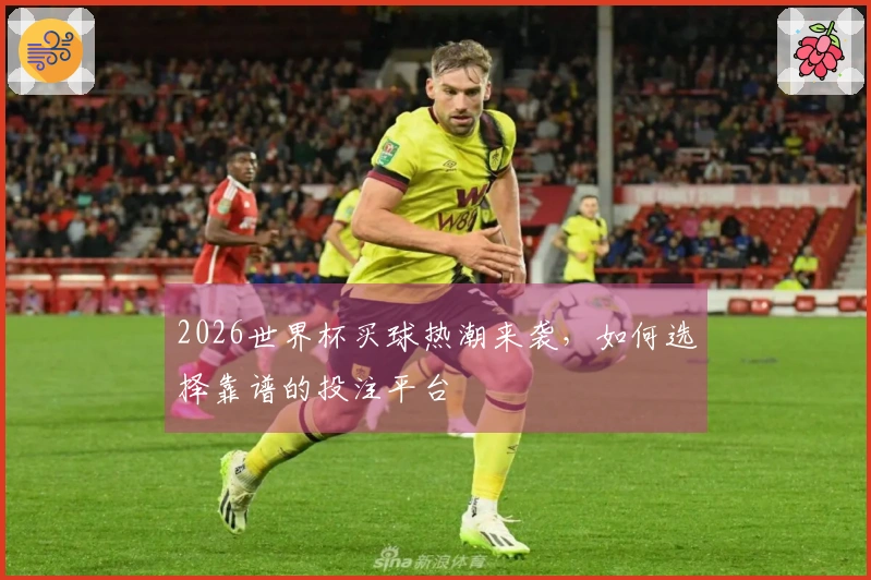 2026世界杯买球热潮来袭，如何选择靠谱的投注平台