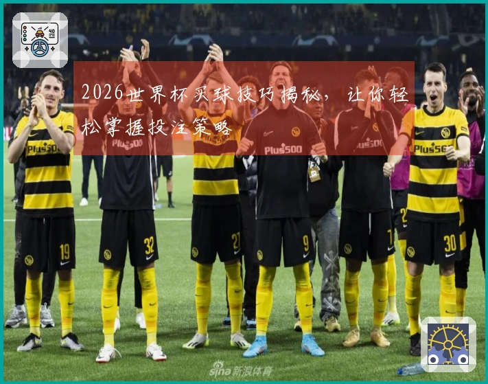 2026世界杯买球技巧揭秘，让你轻松掌握投注策略