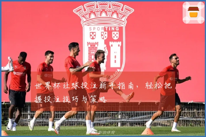 世界杯让球投注新手指南，轻松把握投注技巧与策略