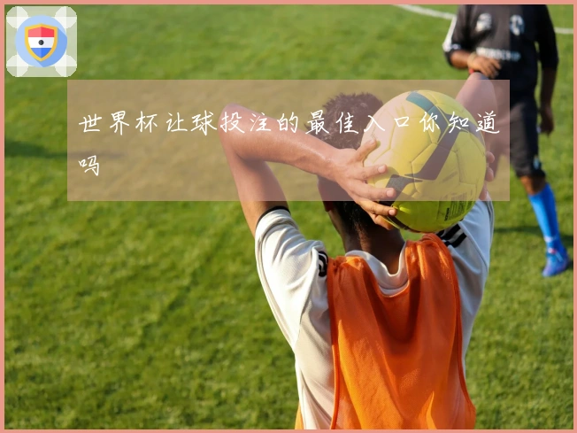 世界杯让球投注的最佳入口你知道吗