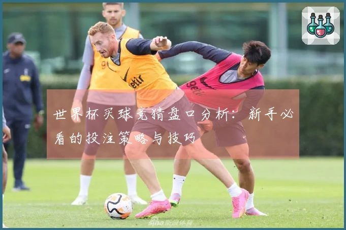 世界杯买球竞猜盘口分析：新手必看的投注策略与技巧