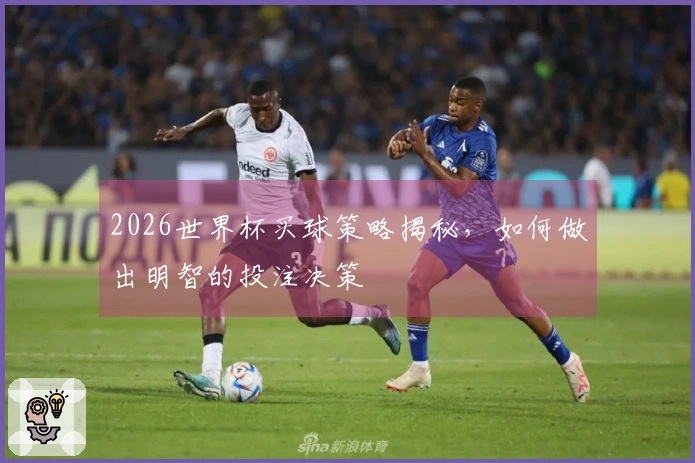 2026世界杯买球策略揭秘，如何做出明智的投注决策