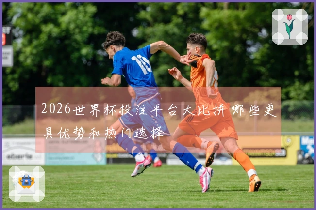 2026世界杯投注平台大比拼 哪些更具优势和热门选择