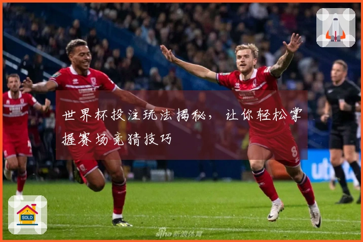 世界杯投注玩法揭秘，让你轻松掌握赛场竞猜技巧