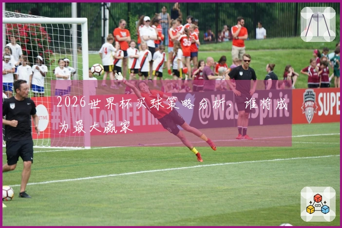 2026世界杯买球策略分析，谁将成为最大赢家