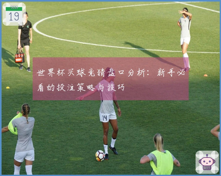 世界杯买球竞猜盘口分析：新手必看的投注策略与技巧